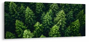 Tablou - Pădure (120x50 cm)