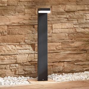 Lindby LED bornă luminoasă Dionys, înălțime 70 cm, antracit, metal, Negru, Metal, Modern