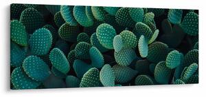 Tablou - Opuntia (120x50 cm)