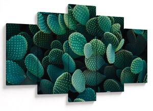Tablou - Opuntia (150x105 cm)