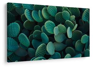 Tablou - Opuntia (90x60 cm)