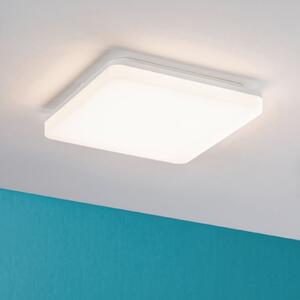 Paulmann Panou LED Cela, 28x28cm, alb, IP44, Alb, Hol, Plastic, Modern