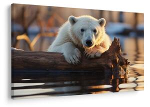 Tablou - Ursul polar (90x60 cm)