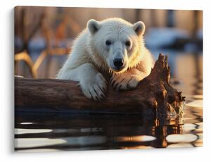 Tablou - Ursul polar (70x50 cm)