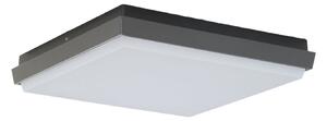 Lampă de Exterior Lucande, Amra, Negru, Terasă, Plastic, Modern