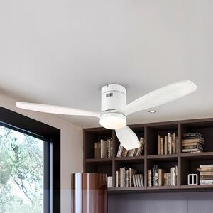 Schuller Valencia Ventilator de tavan cu LED Siroco, alb, Ø 132 cm, silențios, CCT, reglabil, Alb, Camera de zi / sufragerie, Lemn, Modern