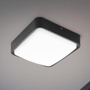 EGLO connect Piove-C aplică LED de exterior, reglabil, Negru, Metal, Modern