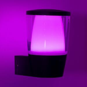 Lampă de Exterior WiZ, Elpas, reglabil, Negru, Plastic, Modern