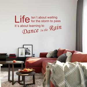 Autocolant - Dance in the rain