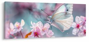 Tablou - Fluture pe un cireș (120x50 cm)