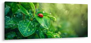 Tablou - Buburuza (120x50 cm)