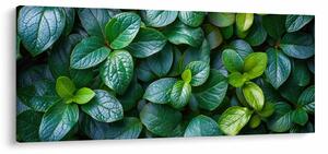 Tablou - Plante verzi (120x50 cm)