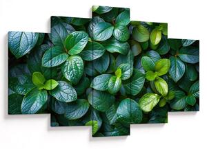 Tablou - Plante verzi (150x105 cm)