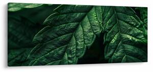 Tablou - Detaliu al foii (120x50 cm)