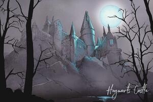 Poster de artă Harry Potter - Nocturnal Hogwarts Castlle, (40 x 26.7 cm)