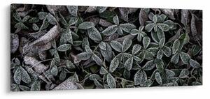 Tablou - Plante înghețate (120x50 cm)