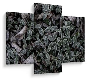 Tablou - Plante înghețate (90x60 cm)