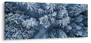 Tablou - Pădure înzăpezită (120x50 cm)