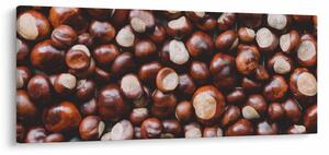 Tablou - Castane coapte (120x50 cm)