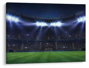 Tablou - Stadion de fotbal (70x50 cm)