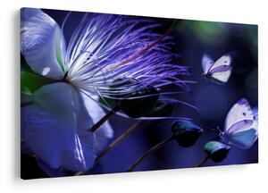 Tablou - Floare tropicală (90x60 cm)