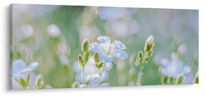 Tablou - Flori delicate (120x50 cm)
