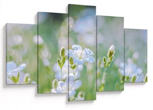 Tablou - Flori delicate (150x105 cm)