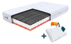 Saltea din spumă cu pernă Amico 80x200x22 - Husă Silver