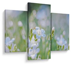 Tablou - Flori delicate (90x60 cm)