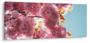 Tablou - Floare de cireș (120x50 cm)