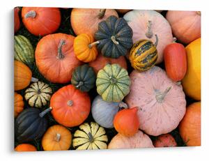 Tablou - Dovleac (70x50 cm)