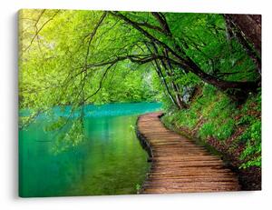 Tablou - Lacurile Plitvice (70x50 cm)