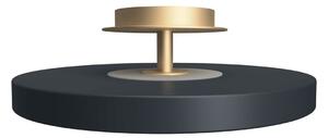UMAGE plafonieră LED Asteria UP PLUS, antracit Ø 31 cm CCT, reglabil, Negru, Camera de zi / sufragerie, Metal, Design