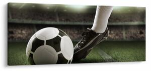 Tablou - Minge de fotbal (120x50 cm)