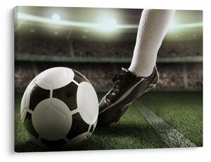 Tablou - Minge de fotbal (70x50 cm)