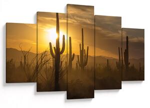 Tablou - Cactuși Saguaro (150x105 cm)