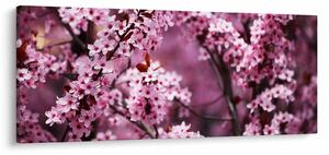 Tablou - Sakura roz (120x50 cm)