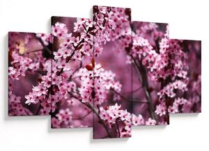 Tablou - Sakura roz (150x105 cm)
