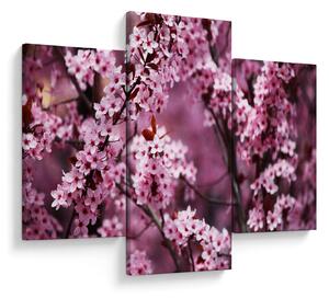 Tablou - Sakura roz (90x60 cm)