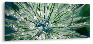 Tablou - Imagine macro a unei flori (120x50 cm)