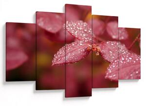 Tablou - Imagine macro a biletului (150x105 cm)