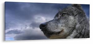 Tablou - Cap de lup (120x50 cm)