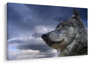 Tablou - Cap de lup (90x60 cm)