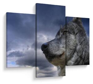 Tablou - Cap de lup (90x60 cm)