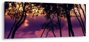 Tablou - Copaci la apus de soare (120x50 cm)