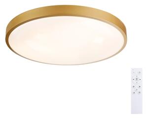 Brilagi - Corp de iluminat LED reglabil GLASS POOL DOUBLE LED/60W/230V 50 cm auriu + telecomandă