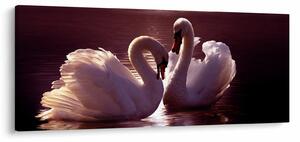 Tablou - Lebede pe lac (120x50 cm)
