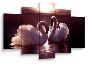 Tablou - Lebede pe lac (150x105 cm)