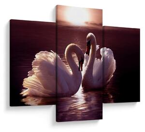 Tablou - Lebede pe lac (90x60 cm)