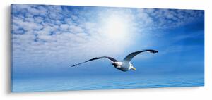 Tablou - Pescărușul peste mare (120x50 cm)